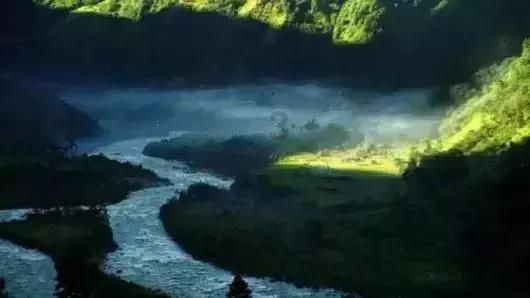 纯牛奶可以加热吗？游戏画面