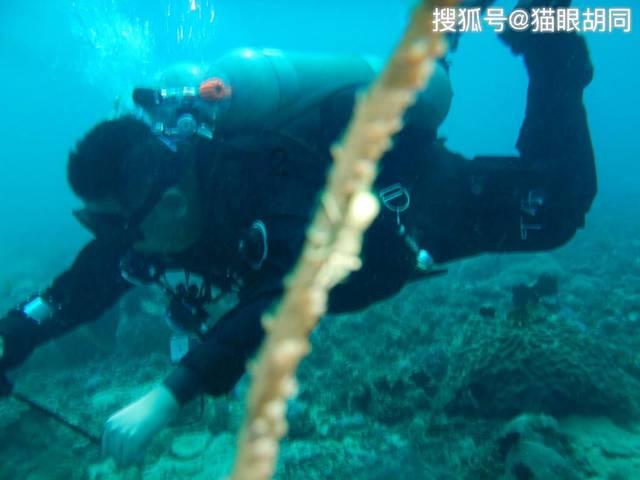 明星为博眼球，邓超“骑青蛙”，是谁把“榴莲”穿在自己身上的？