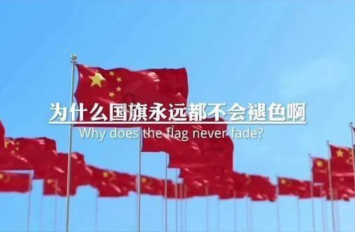 国际福鼎联机版游戏画面