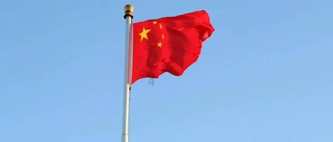 小僵尸射飞鸟